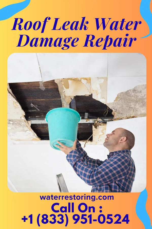 Roof Leak Water Damage Repair in Mount Angel, OR